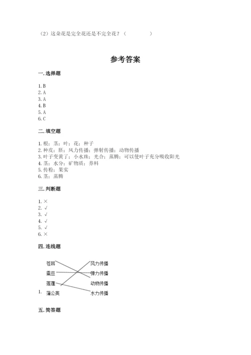 科学四年级下册第一单元植物的生长变化测试卷（考试直接用）.docx