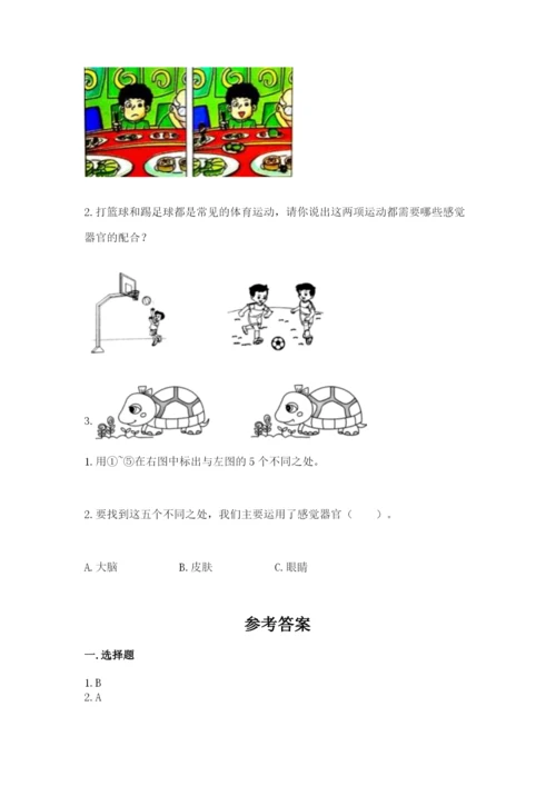 教科版小学科学二年级下册期末测试卷含完整答案【易错题】.docx