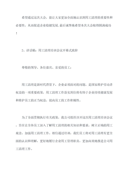 用工清理讲话稿