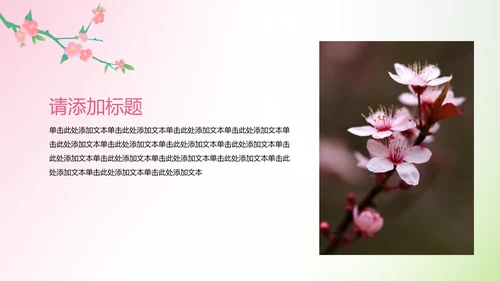 简约粉绿渐变风桃花古诗鉴赏课件设计