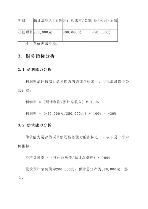 社创项目财务分析方案