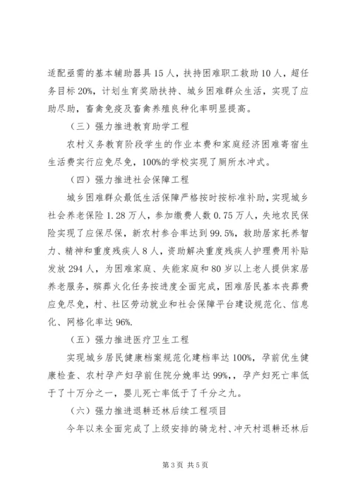 乡镇年度民生工程工作总结.docx