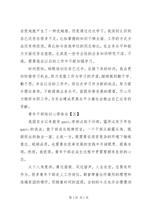 关于青年干部培训心得体会6篇.docx