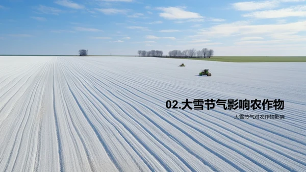 大雪节气农业解析