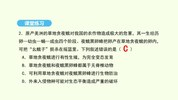 7.1.2昆虫的生殖和发育课件-人教版生物八年级下册(共26张PPT)
