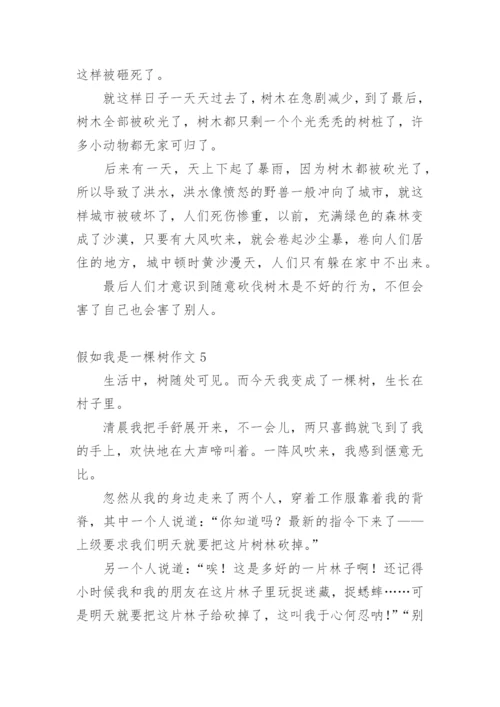 假如我是一棵树作文_18.docx