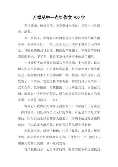 万绿丛中一点红作文700字.docx