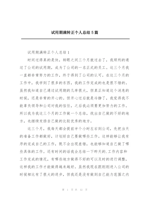 试用期满转正个人总结5篇.docx