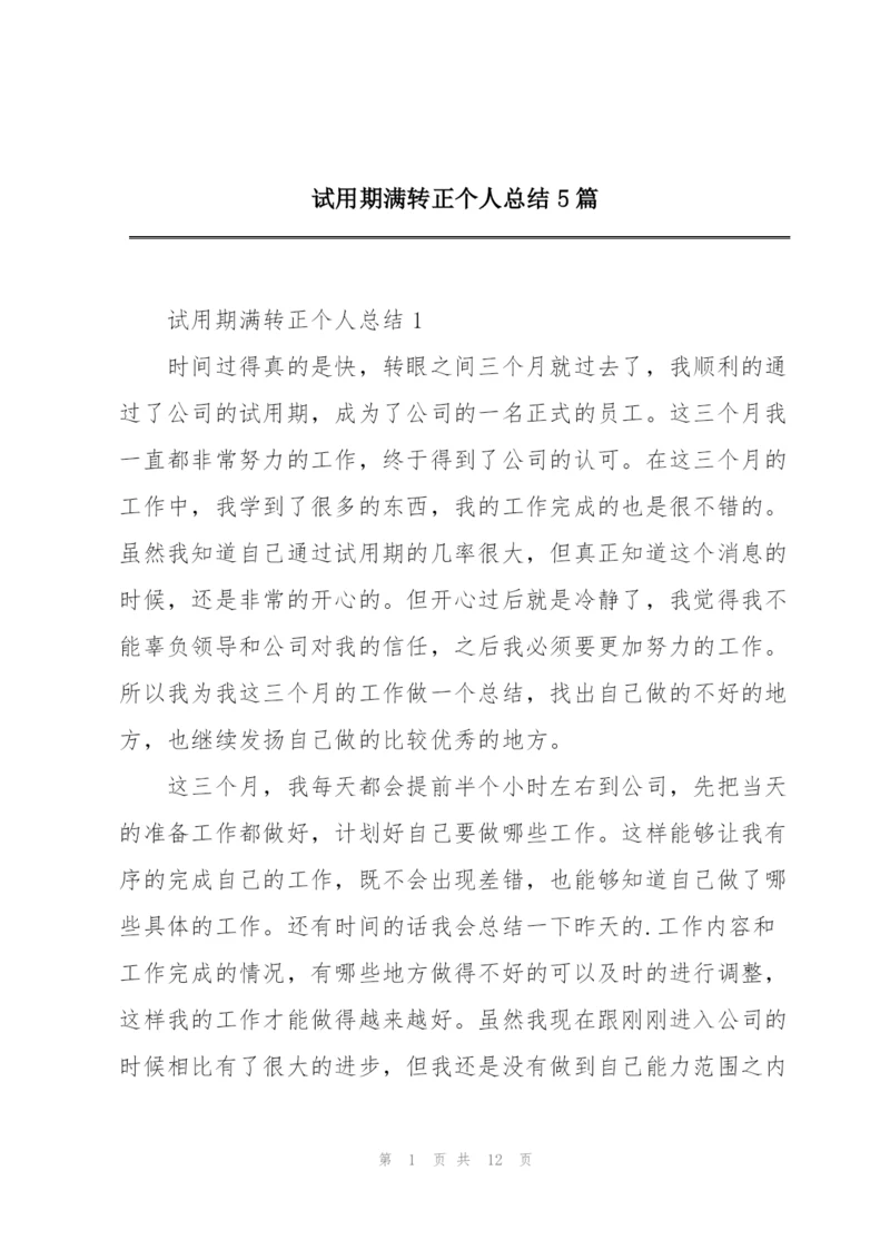 试用期满转正个人总结5篇.docx