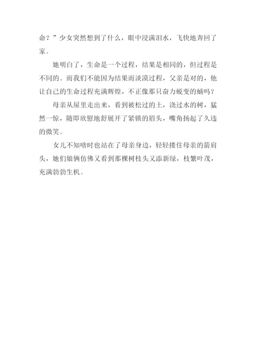 又见枝头吐新绿作文-17.docx
