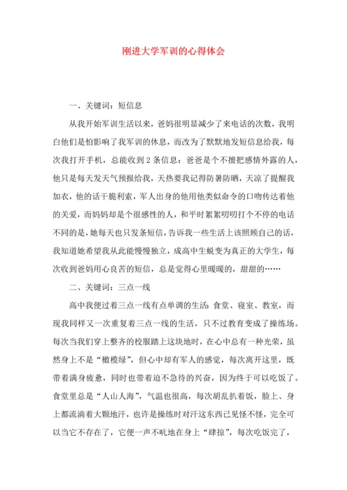 刚进大学军训的心得体会.docx