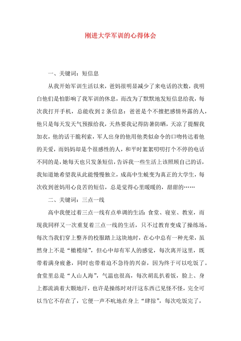 刚进大学军训的心得体会.docx
