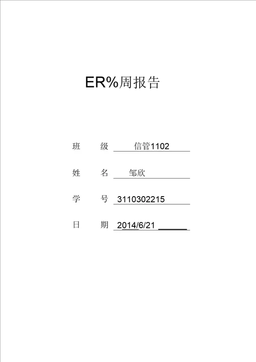 ERP专周实习报告