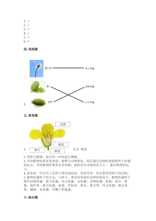 教科版科学四年级下册第一单元《植物的生长变化》测试卷ab卷.docx