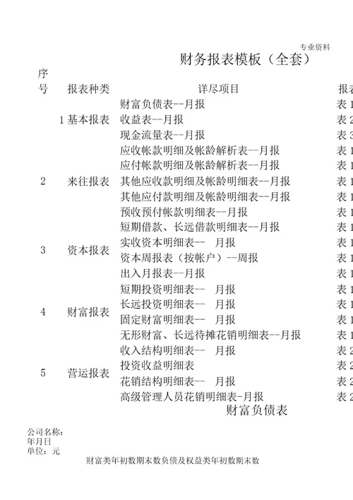 财务报表模板文档