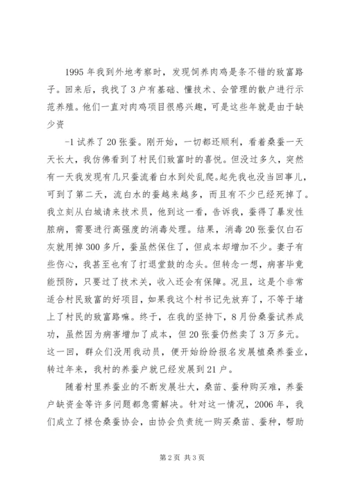 村党组织书记工作成效大全 (2).docx