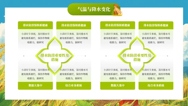 小满节气插画风教育通用模板PPT模板