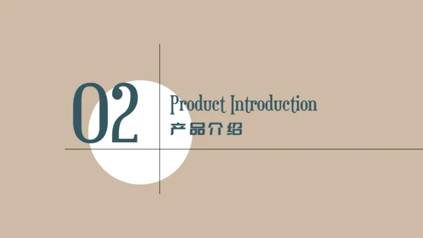 中年女性服装品牌营销策划通用PPT