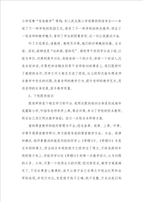 小学骨干老师培训总结学习伴我成长