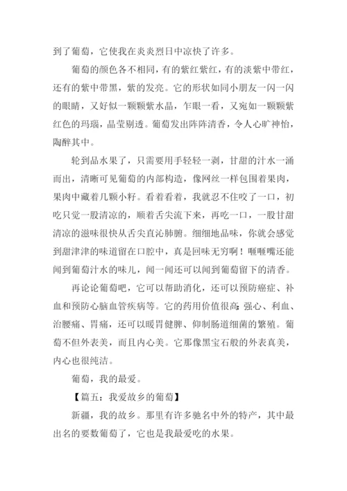 作文一种水果葡萄.docx