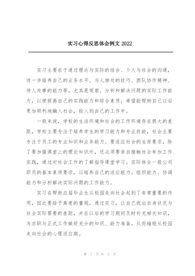 实习心得反思体会例文2022.docx