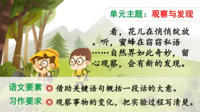13《花钟》（课件）