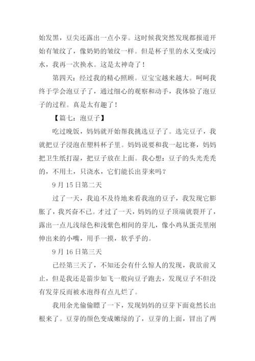 关于泡豆子的作文.docx