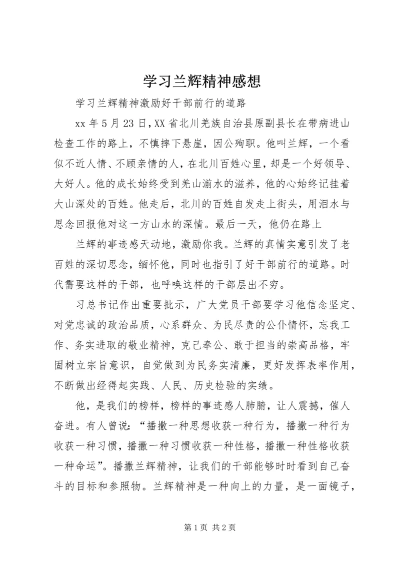 学习兰辉精神感想.docx