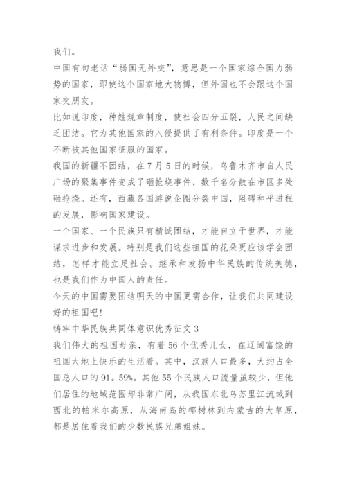 铸牢中华民族共同体意识优秀征文10篇.docx