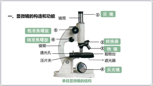 1.1&1.2 认识生物和细胞（复习课件）【2024人教新版七上生物高效完全备课】(共44张PPT)