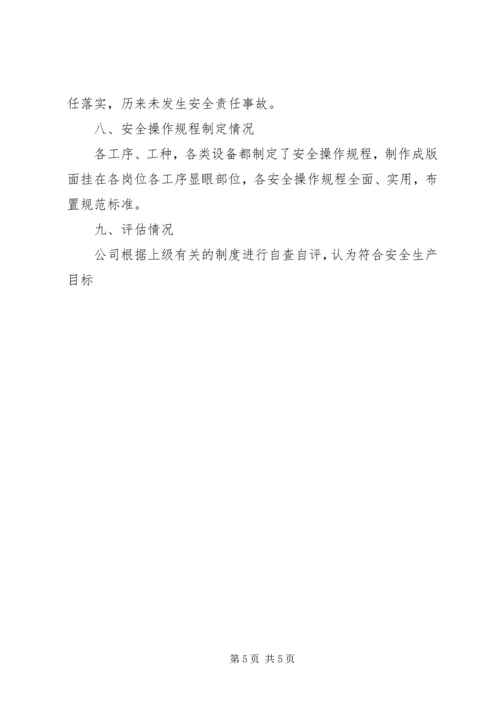 安全目标考核评估报告.docx