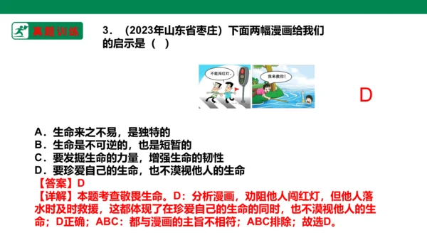 新课标七上第四单元生命的思考复习课件2023