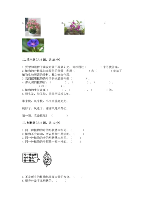 教科版科学一年级上册第一单元《植物》测试卷（培优）.docx