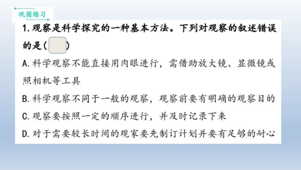 人教版生物七年级上册第一单元《生物与细胞》单元复习课件(共53张PPT)