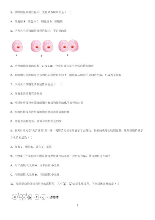 通用版初中生物七年级上册第二单元生物体的结构层次考点精题训练.docx