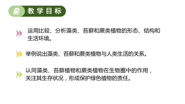 2.1.1藻类、苔藓植物和蕨类植物-七年级生物上学期同步优质课件（人教版2024）(共26张PPT)