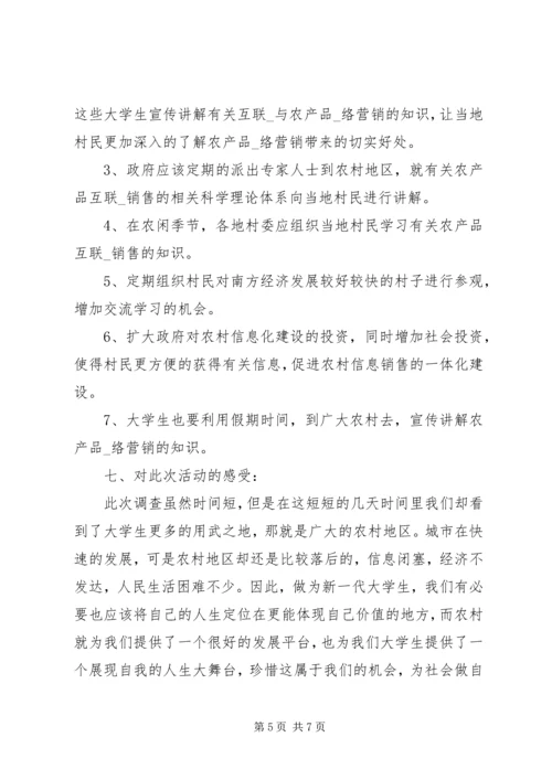 大学乡村个人实践报告.docx