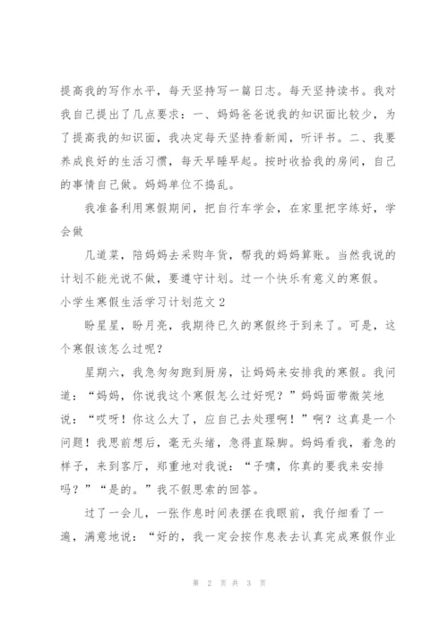 小学生寒假生活学习计划范文8篇.docx