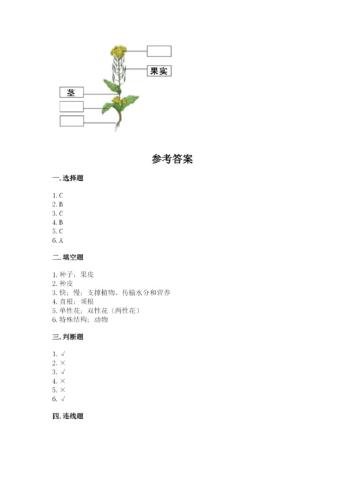 科学四年级下册第一单元《植物的生长变化》测试卷新版.docx