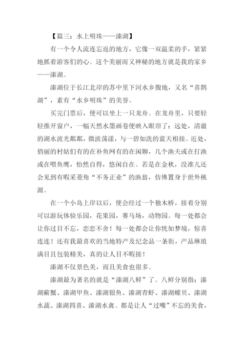 关于溱湖的作文-1.docx