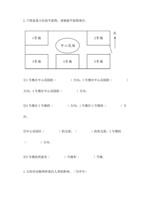 教科版科学二年级上册《期末测试卷》精品（考点梳理）.docx