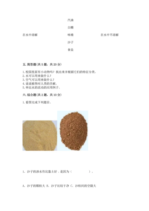 苏教版一年级下册科学期末测试卷含答案.docx