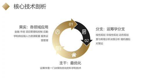 黑金色商业项目行业分析报告PPT模板