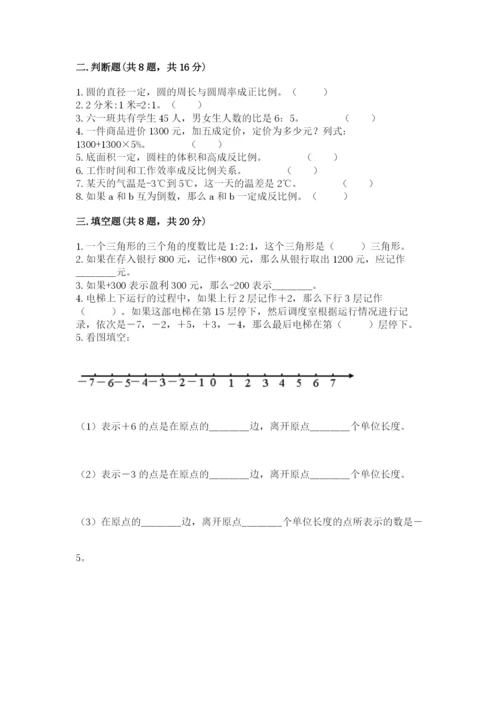 北京版小学六年级下册数学期末综合素养测试卷含完整答案（典优）.docx