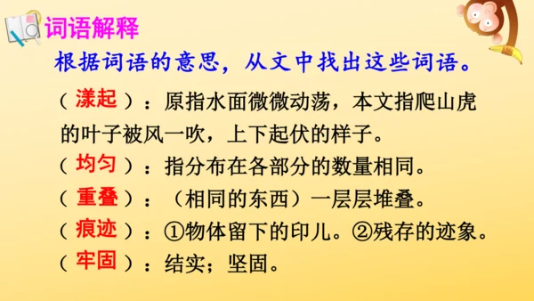 10 爬山虎的脚   课件