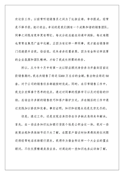 2022置业顾问的工作总结