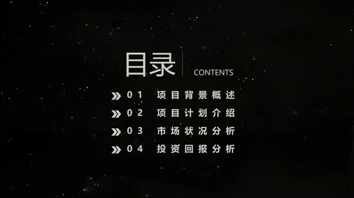 全球化科研项目计划书通用PPT模板