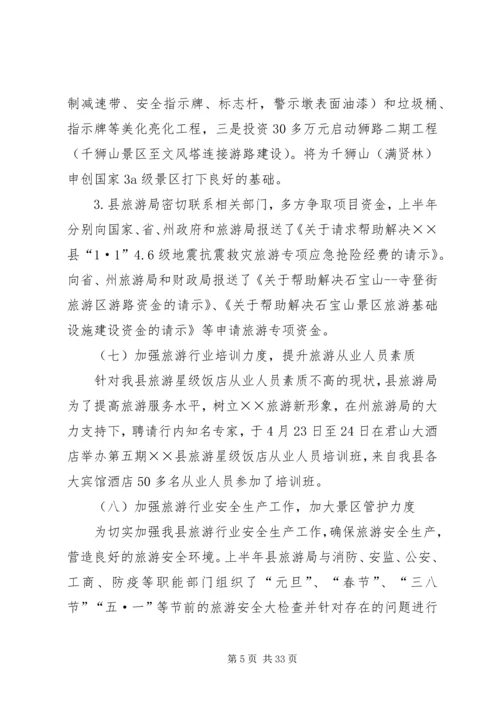 旅游事业局XX年上半年工作总结及下半年工作计划.docx