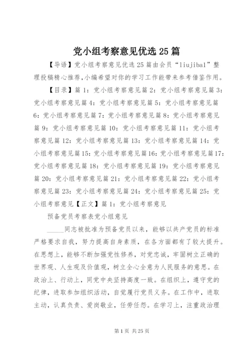 党小组考察意见优选25篇.docx