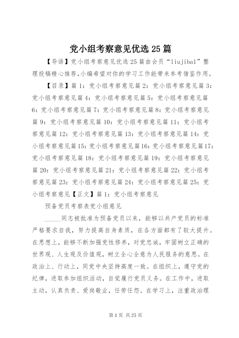 党小组考察意见优选25篇.docx